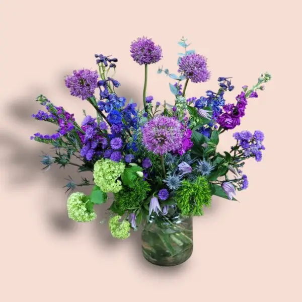Purple Wonder