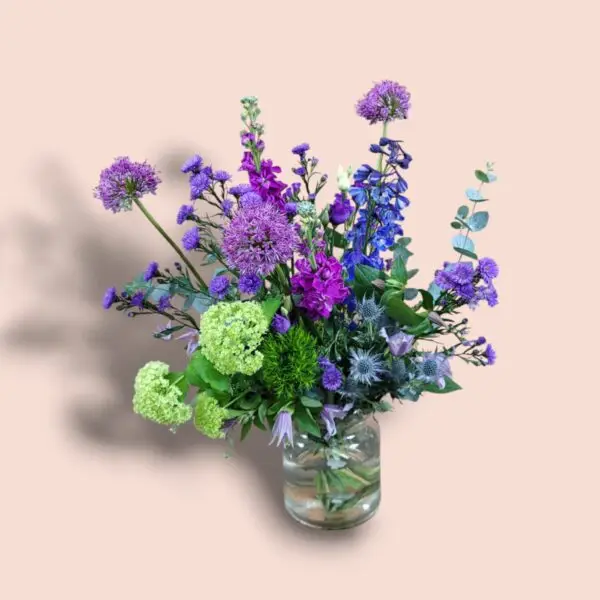 Purple Wonder - Afbeelding 2