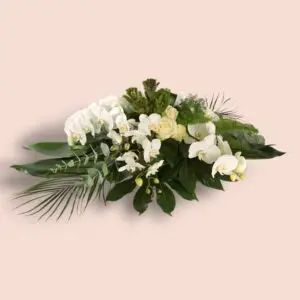 Witte Orchidee