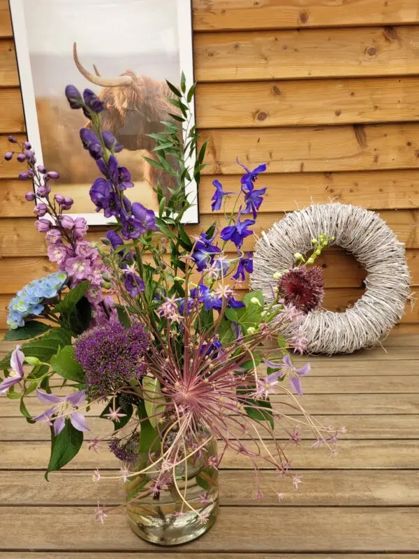 Delphinium Geluk - Afbeelding 4