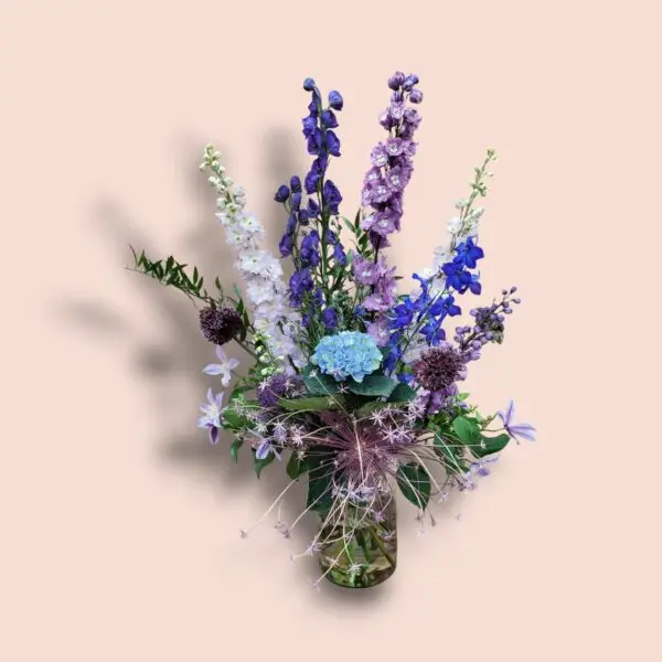 Delphinium Geluk - Afbeelding 3