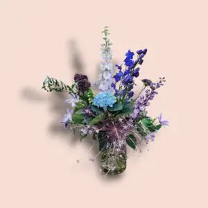 Delphinium Geluk