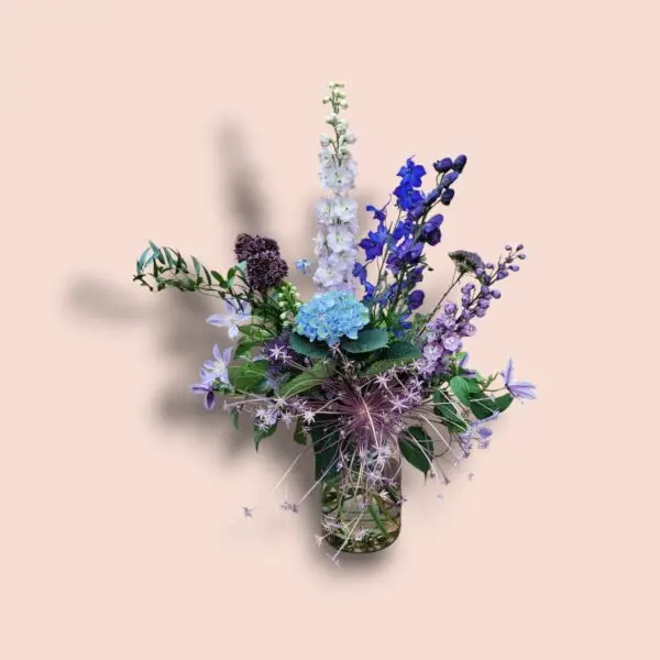Delphinium Geluk