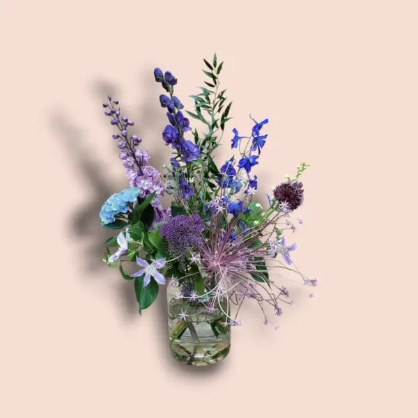 Delphinium Geluk - Afbeelding 2