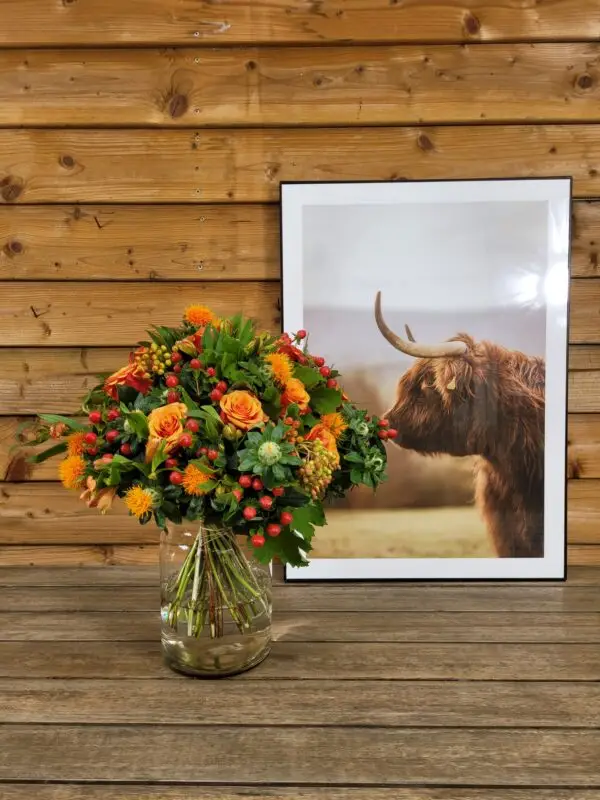 Oranje Boven - Afbeelding 4