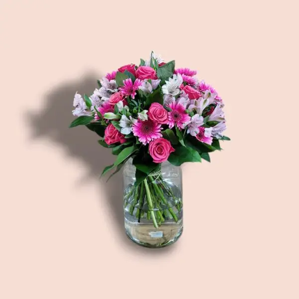 Pluk de Dag - Afbeelding 3